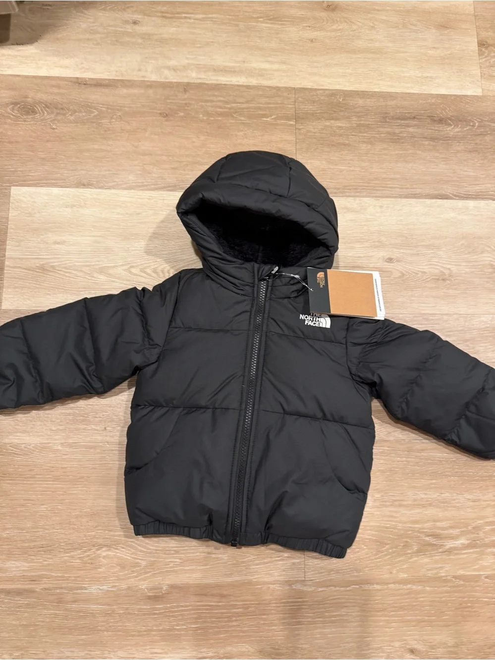 The North Face Moondoggy Black Hooded Jacket
